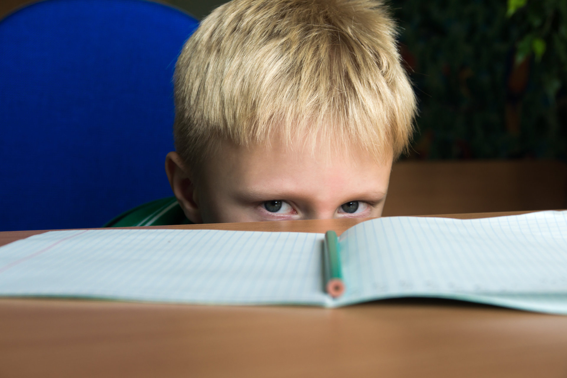 Unraveling ADHD and Autism in Children