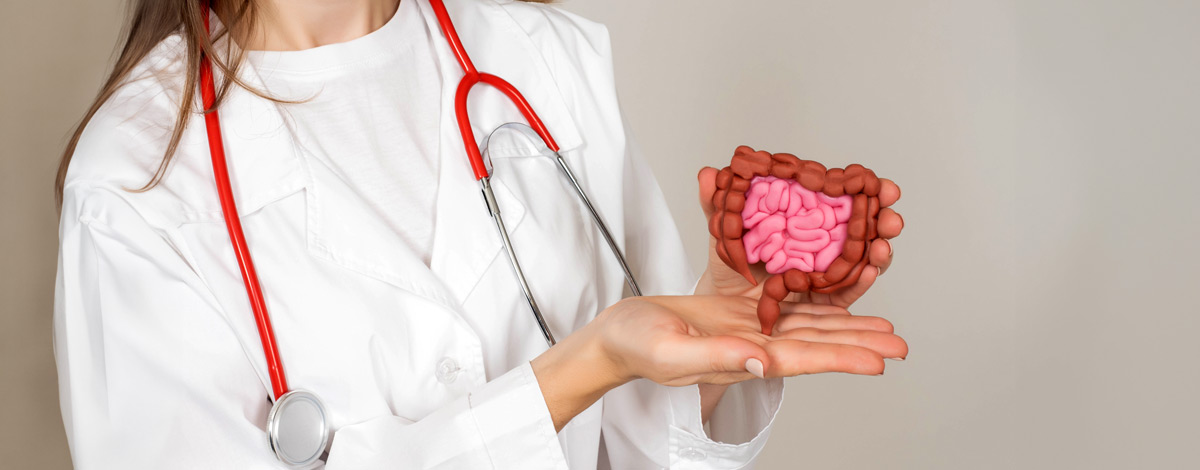 Does PEA Play a Role in Leaky Gut?