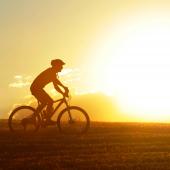 Practitioner Self-Care with Dr Michael Priestman DC