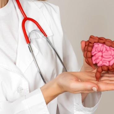 Does PEA Play a Role in Leaky Gut?