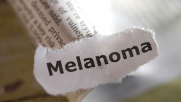 Mushroom Medicine Update