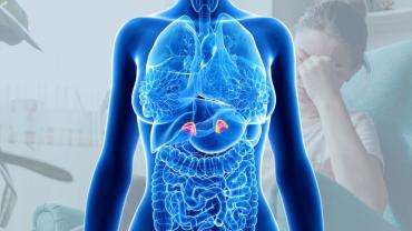 Adrenal Fatigue: Diagnosis & Treatment  