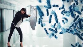 Immune System Facts & Fallacies