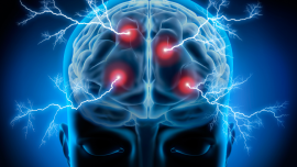 Epilepsy: Nutrients and Herbs